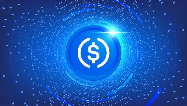 Drop the Bass, Not Your Cash! DJKIT® Now Accepts USDC Payments!
