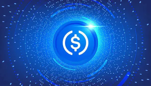 Drop the Bass, Not Your Cash! DJKIT® Now Accepts USDC Payments!