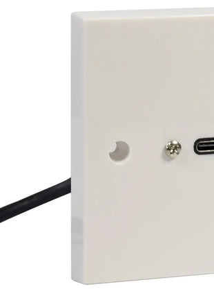 AV:Link USB4 Type-C Wallplate with Male Tail AV:Link