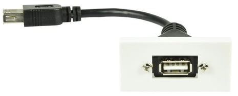 AV:Link Wall Plate Module - USB2.0 Type-A Socket to Female Tail AV:Link