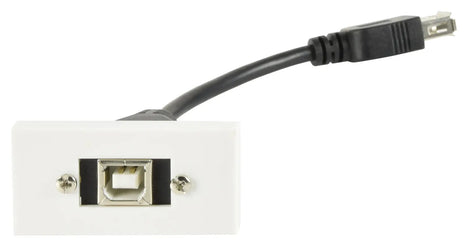 AV:Link Wall Plate Module - USB2.0 Type-B Socket to Female Type-A Tail AV:Link