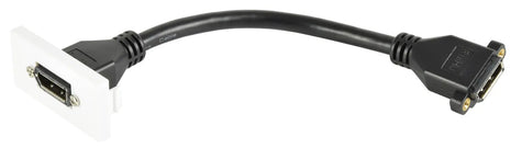 AV:Link Wall Plate Module - DisplayPort Socket to Female Tail AV:Link