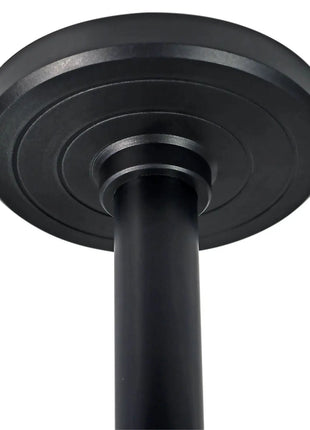 AV:Link Micro Projector Ceiling and Wall Mount AV:Link