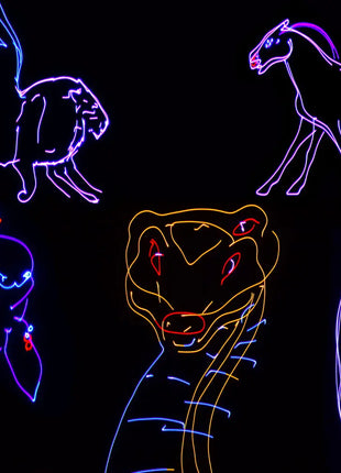 Citronic RGB Smart Animation Laser Citronic