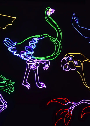 Citronic RGB Smart Animation Laser Citronic