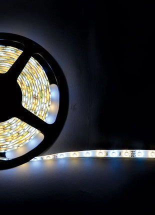 LYYT DIY IP65 LED tape kit 5m CW/WW LYYT