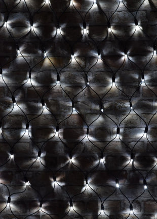 LYYT 144 LED Conn Net Light CW LYYT