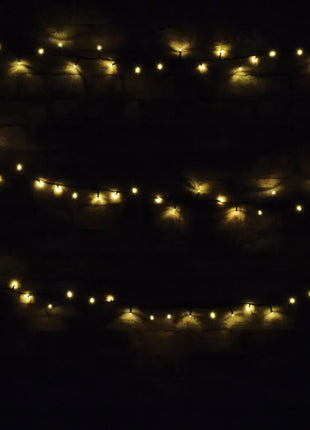 LYYT 200 LED String Lights w/Timer WW LYYT