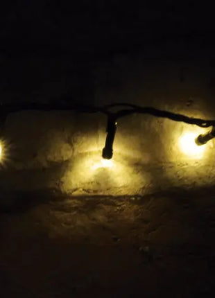 LYYT 200 LED String Lights w/Timer WW LYYT