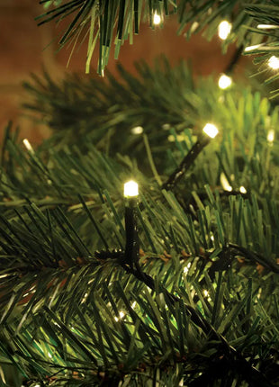 LYYT 200 LED String Lights w/Timer WW LYYT