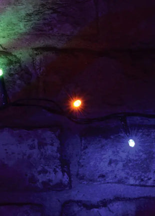 LYYT 200 LED String Lights w/Timer MC LYYT