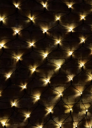 LYYT 240 LED Net light WW w/Ctrl LYYT