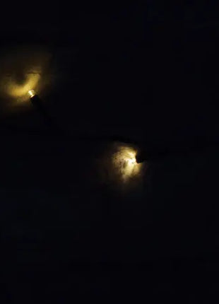 LYYT 120 LED Battery String Light Warm White LYYT