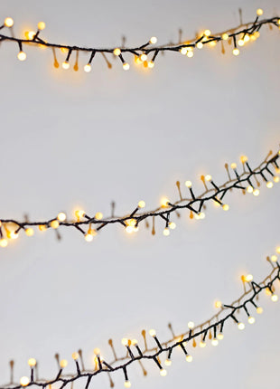 LYYT 10mm WW Berry Light & Remote 12m LYYT