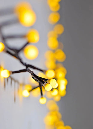 LYYT 10mm WW Berry Light & Remote 12m LYYT