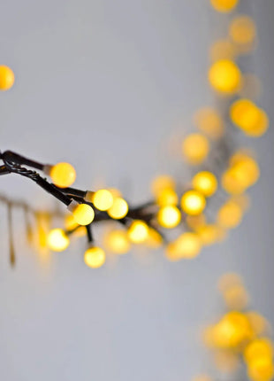 LYYT 10mm WW Berry Light & Remote 12m LYYT