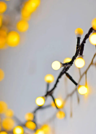 LYYT 10mm WW Berry Light & Remote 12m LYYT