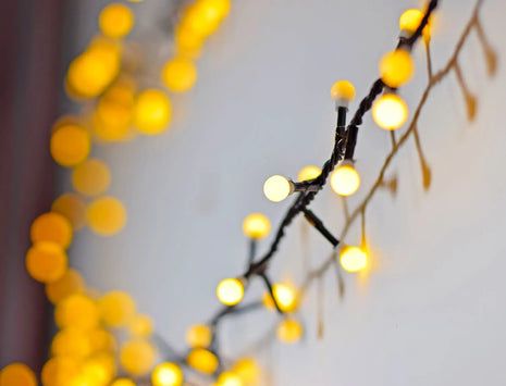 LYYT 10mm WW Berry Light & Remote 12m LYYT