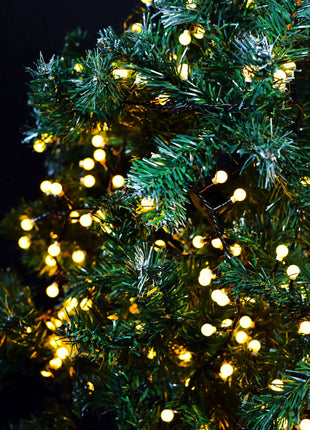 LYYT 10mm WW Berry Light & Remote 12m LYYT