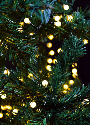 LYYT 10mm WW Berry Light & Remote 12m LYYT