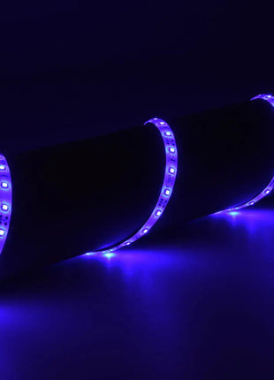 LYYT 12V LED Tape 5m - Blue LYYT