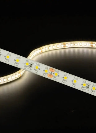 LYYT 24V high output LED tape 5.0m reel - warm white LYYT