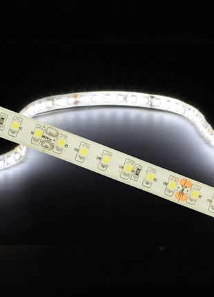 LYYT 24V high output LED tape 5.0m reel - cool white LYYT