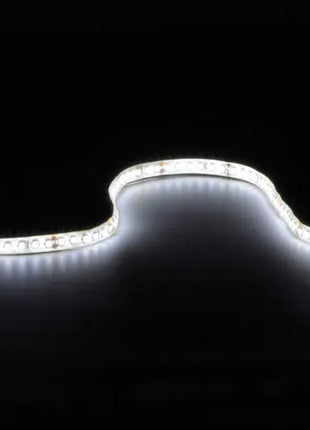 LYYT 24V high output LED tape 5.0m reel - cool white LYYT