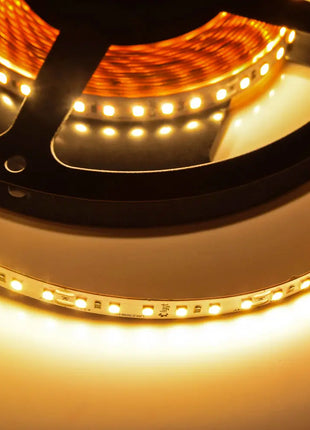 LYYT 24V IP20 Hi Output LED Tape Warm White LYYT