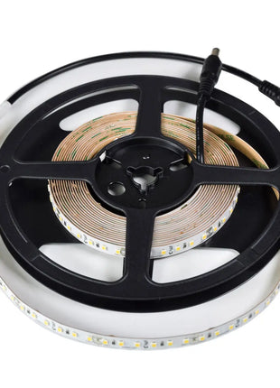 LYYT 24V IP20 Hi Output LED Tape Cool White LYYT