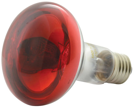 QTX R80 Reflector Bulb E27 Red QTX