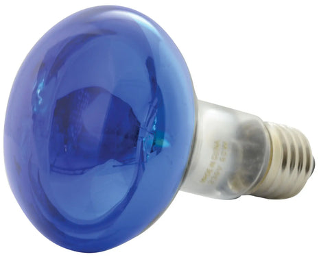 QTX R80 Reflector Bulb E27 Blue QTX