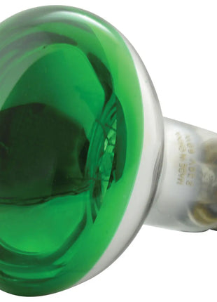 QTX R80 Reflector Bulb E27 Green QTX