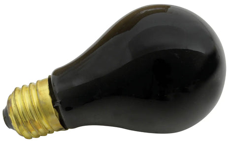 QTX Black light bulb, ES, 75W QTX