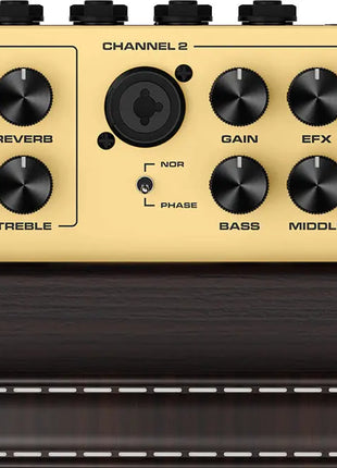 NU-X Stageman II AC-80 Acoustic Amplifier NU-X