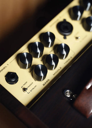 NU-X Stageman II AC-80 Acoustic Amplifier NU-X