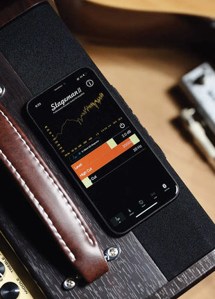 NU-X Stageman II AC-80 Acoustic Amplifier NU-X