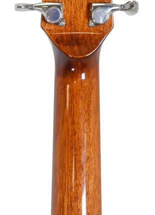 Sevinia Sevinia W41C Solid Cedar Top with Rosewood Back & Sides Sevinia