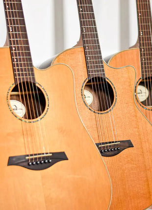 Sevinia Sevinia GA41C Solid Cedar Top with Rosewood Back & Sides Sevinia