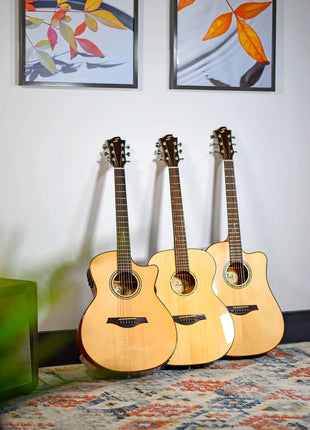 Sevinia Sevinia Solid Body Western Electro-Acoustic Guitar Sevinia