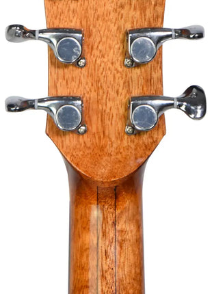 Sevinia Sevinia Solid Body Orchestra Model Electro-Acoustic Guitar Sevinia