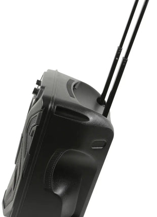 QTX Busker-12 PA + 2 x VHF mics + USB/SD/FM/BT QTX