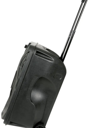 QTX Busker-12 PA + 2 x VHF mics + USB/SD/FM/BT QTX