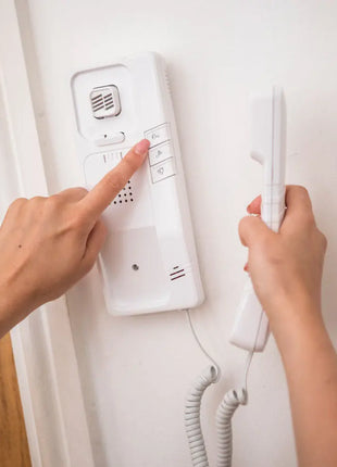 Mercury 2 Wire door phone system Mercury