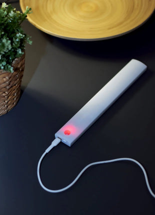 LYYT Motion Sensing LED Light 2pk Large LYYT