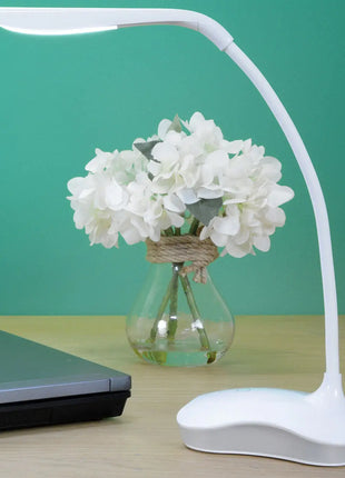 LYYT USB LED Desk Lamp with Nightlight White LYYT