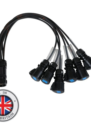  Socapex 19-Pin Male - 16A Female 1.5mm Fan-Out Cable