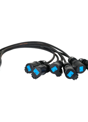  Socapex 19-Pin Male - 16A Female 2.5mm Fan-Out Cable