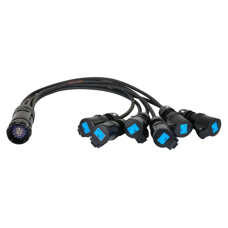  Socapex 19-Pin Male - 16A Female 2.5mm Fan-Out Cable