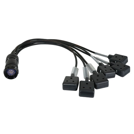  Socapex 19-Pin Male - 15A Female 1.5mm Fan-Out Cable
